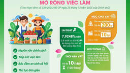 Chương trình cho vay Hỗ trợ tạo việc làm, duy trì, mở rộng việc làm theo Nghị định 338/2025/NĐ-CP ngày 25/12/2025 của Chính phủ và Văn bản số 11055/NHCS-TDSV ngày 30/12/2025 của Tổng Giám đốc Ngân hàng Chính sách xã hội.