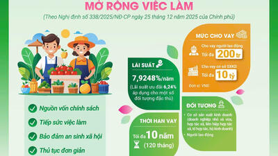 Chương trình cho vay Hỗ trợ tạo việc làm, duy trì, mở rộng việc làm theo Nghị định 338/2025/NĐ-CP ngày 25/12/2025 của Chính phủ và Văn bản số 11055/NHCS-TDSV ngày 30/12/2025 của Tổng Giám đốc Ngân hàng Chính sách xã hội.